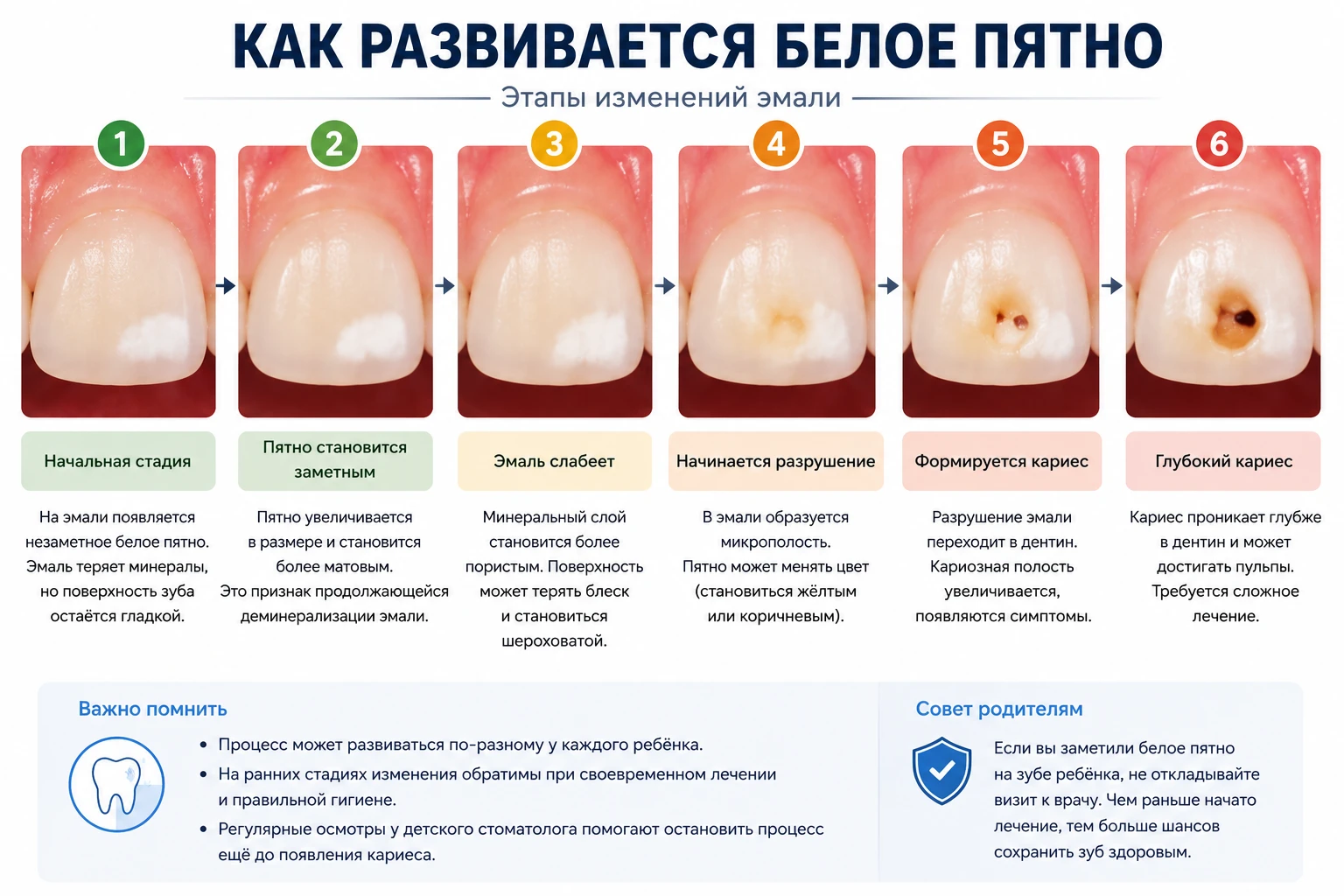 Что происходит внутри зуба на разных стадиях