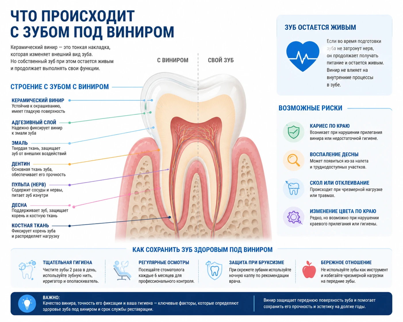 Что происходит с зубом под виниром